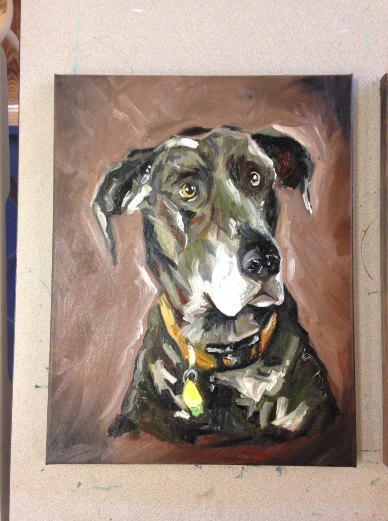 Final Shelby The Great Dane!